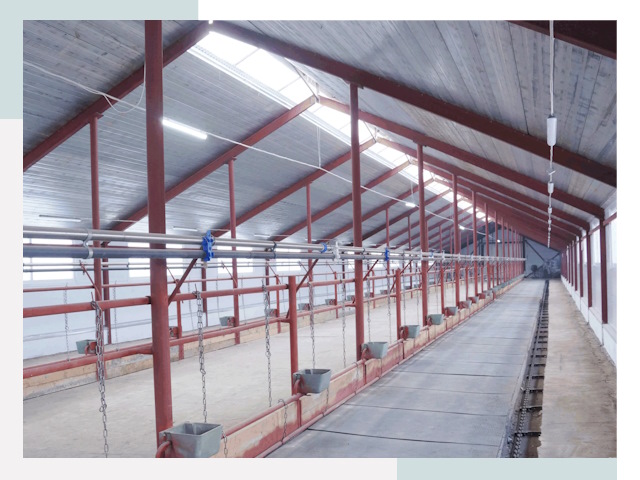 Строительство коровников в Гукове от 616 руб.