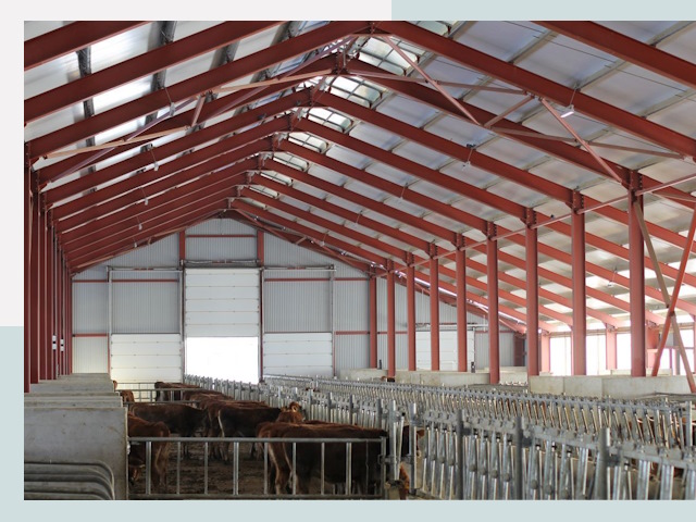 Строительство коровников в Гукове