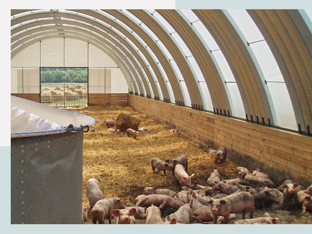 Строительство свинарников в Гукове