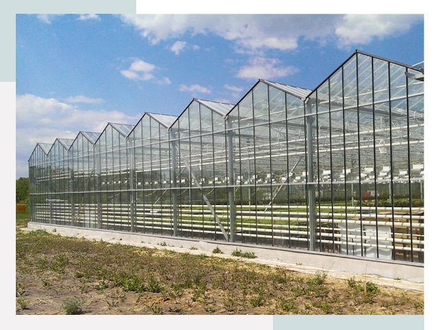 Строительство теплиц в Гуково от 616 руб. за м²