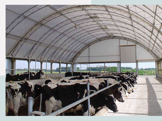 Тентовые коровники в Гукове